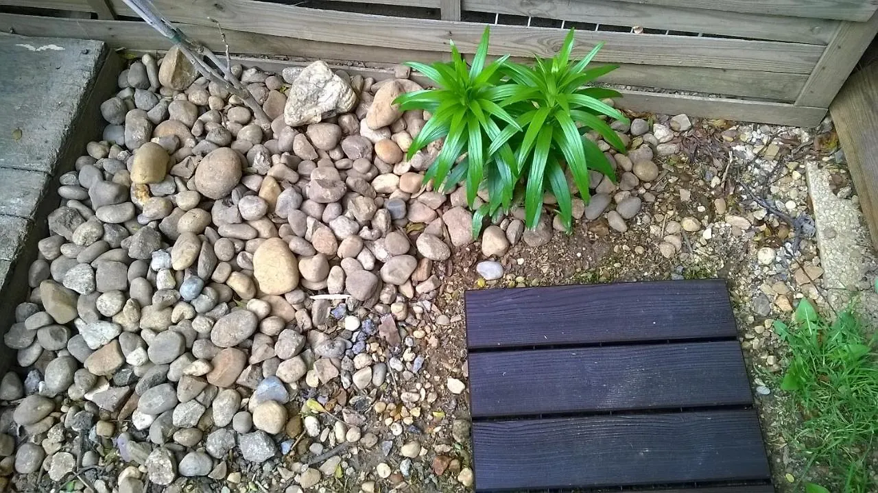 Oasis T3 Centre Ville Jardin Prive Villeurbanne